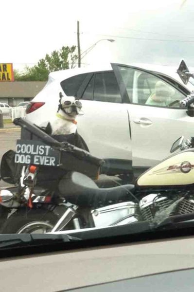 Bildschirmarbeiter - Picdump 02.05.2014