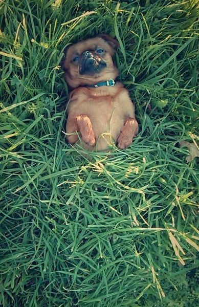 Bildschirmarbeiter - Picdump 09.05.2014