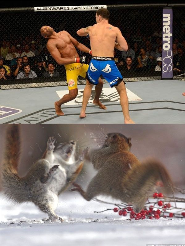 Bildschirmarbeiter - Picdump 09.05.2014