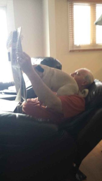 Bildschirmarbeiter - Picdump 09.05.2014