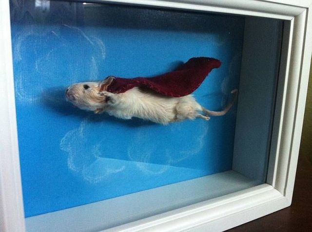 Bildschirmarbeiter - Picdump 09.05.2014