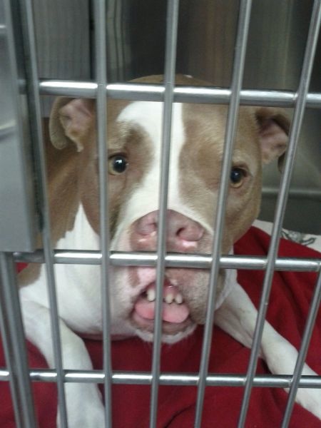 Bildschirmarbeiter - Picdump 09.05.2014