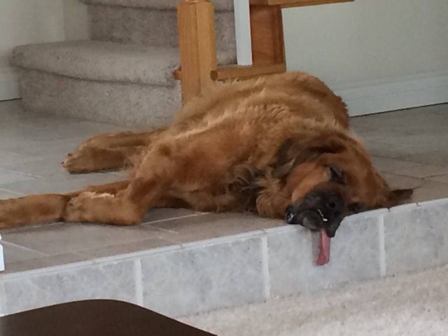 Bildschirmarbeiter - Picdump 09.05.2014