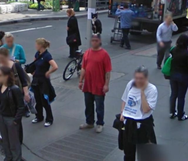 Bildschirmarbeiter - Picdump 09.05.2014