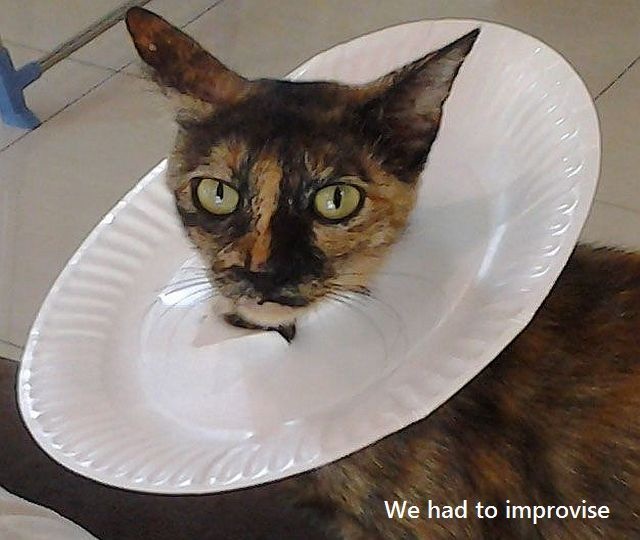 Bildschirmarbeiter - Picdump 09.05.2014