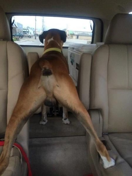 Bildschirmarbeiter - Picdump 09.05.2014