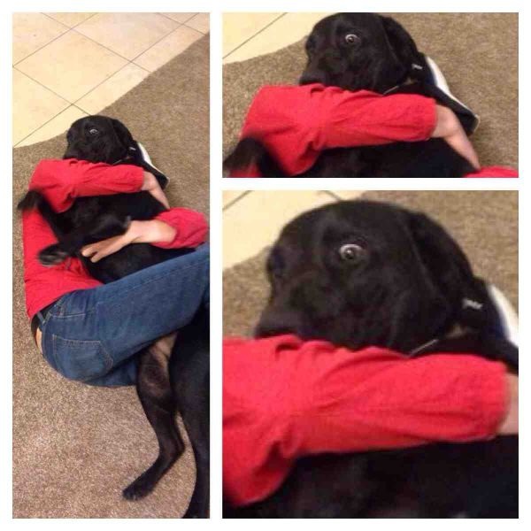 Bildschirmarbeiter - Picdump 09.05.2014