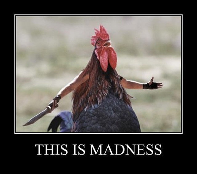 Bildschirmarbeiter - Picdump 09.05.2014