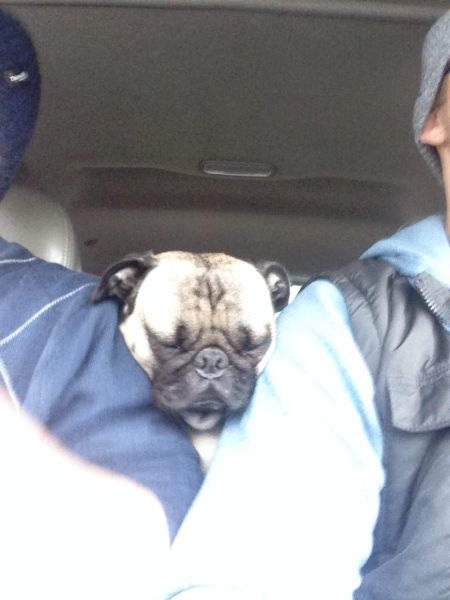 Bildschirmarbeiter - Picdump 09.05.2014