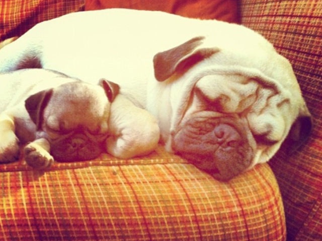 Bildschirmarbeiter - Picdump 09.05.2014