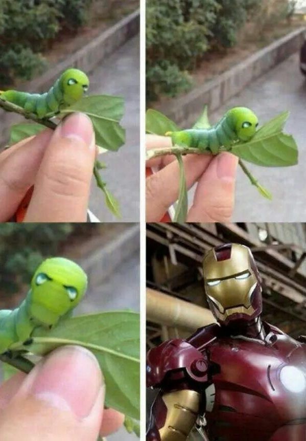 Bildschirmarbeiter - Picdump 16.05.2014