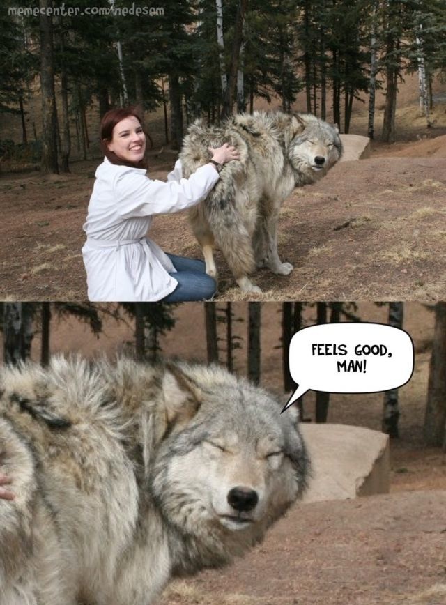 Bildschirmarbeiter - Picdump 16.05.2014