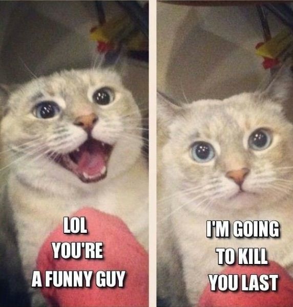 Bildschirmarbeiter - Picdump 16.05.2014