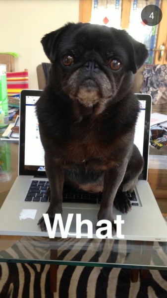 Bildschirmarbeiter - Picdump 16.05.2014