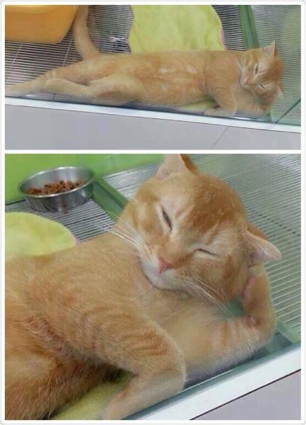 Bildschirmarbeiter - Picdump 16.05.2014