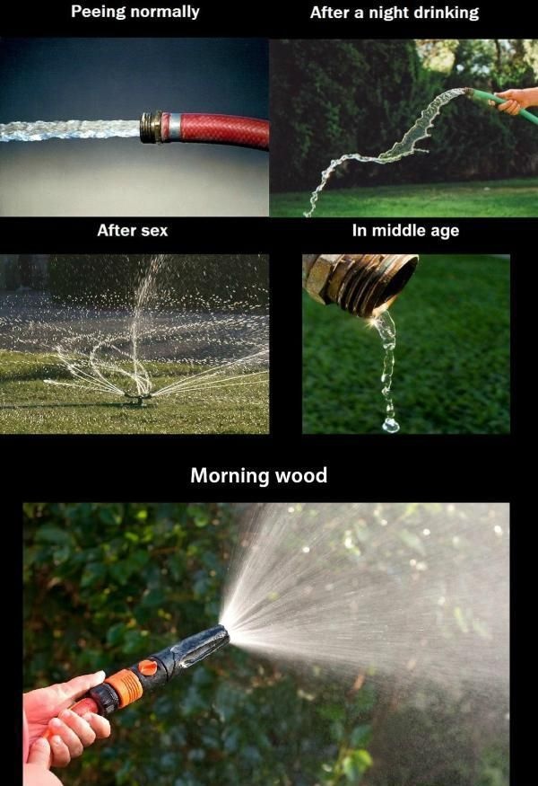 Bildschirmarbeiter - Picdump 16.05.2014