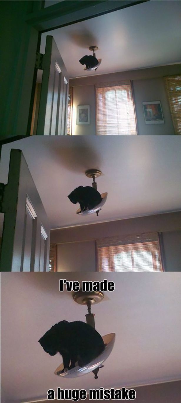 Bildschirmarbeiter - Picdump 16.05.2014