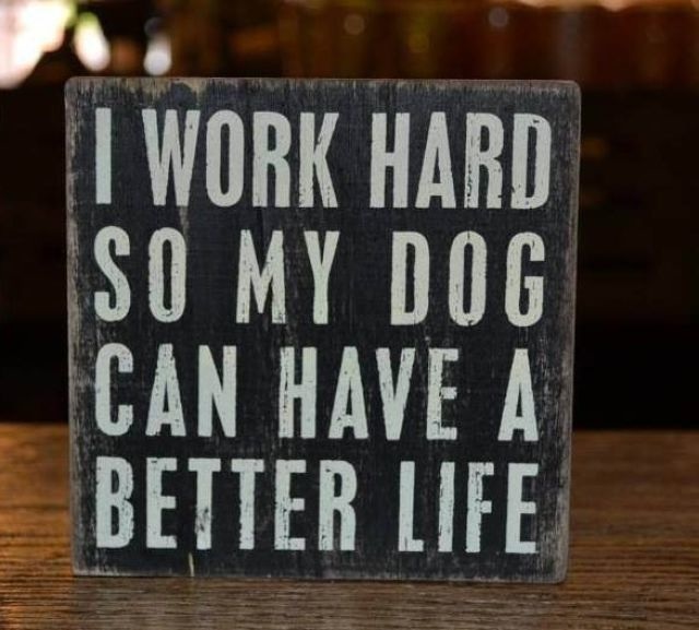 Bildschirmarbeiter - Picdump 16.05.2014