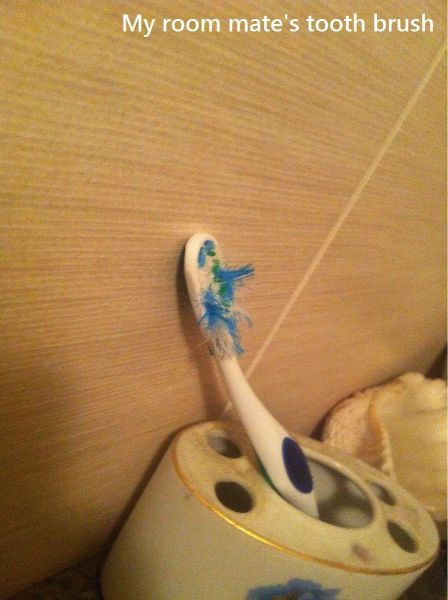 Bildschirmarbeiter - Picdump 16.05.2014