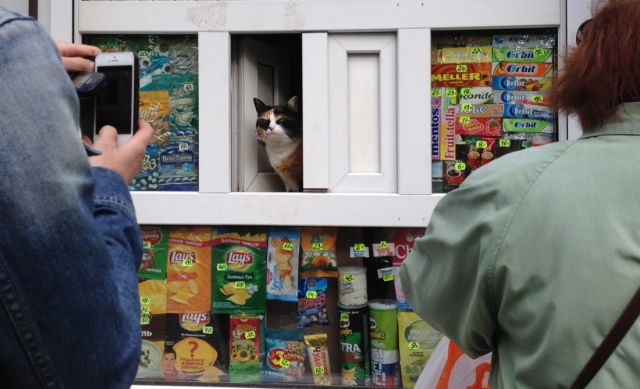 Bildschirmarbeiter - Picdump 16.05.2014