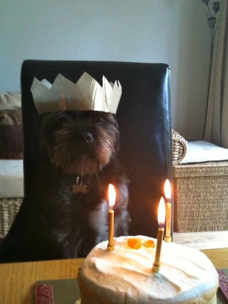 Bildschirmarbeiter - Picdump 16.05.2014