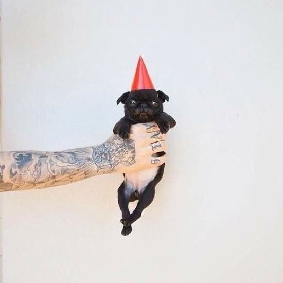 Bildschirmarbeiter - Picdump 23.05.2014