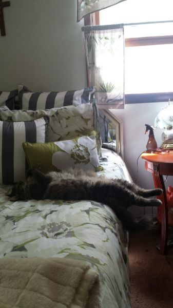 Bildschirmarbeiter - Picdump 23.05.2014