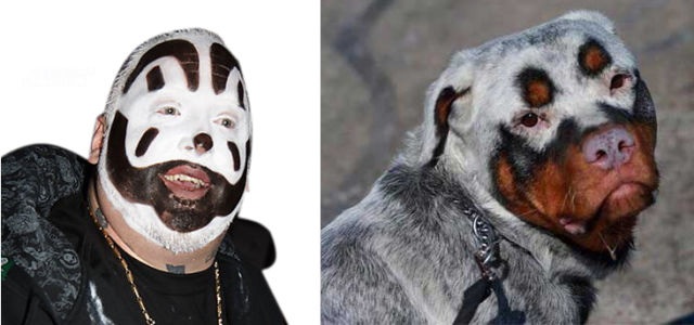 Bildschirmarbeiter - Picdump 23.05.2014