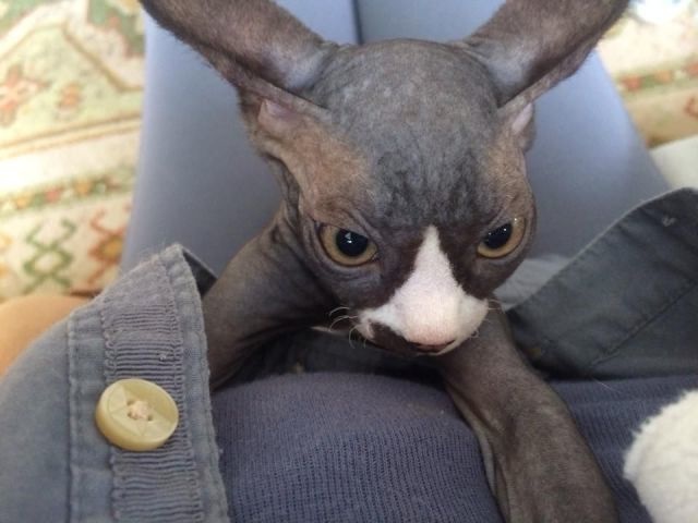 Bildschirmarbeiter - Picdump 23.05.2014