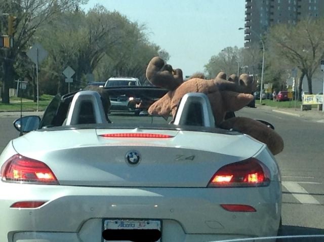 Bildschirmarbeiter - Picdump 23.05.2014