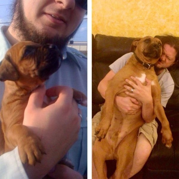 Bildschirmarbeiter - Picdump 23.05.2014