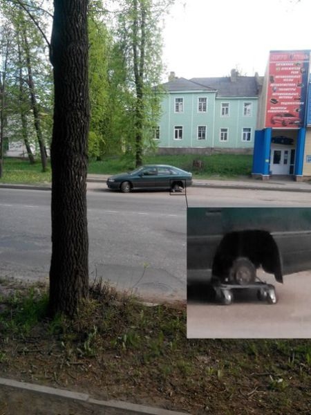 Bildschirmarbeiter - Picdump 23.05.2014