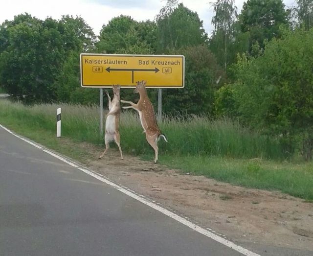 Bildschirmarbeiter - Picdump 23.05.2014