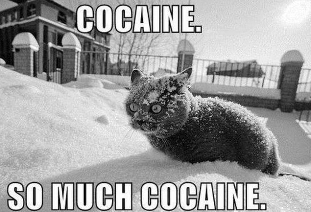 Bildschirmarbeiter - Picdump 23.05.2014