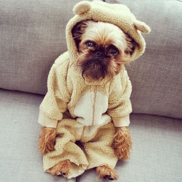 Bildschirmarbeiter - Picdump 23.05.2014