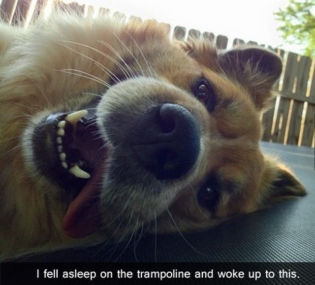 Bildschirmarbeiter - Picdump 23.05.2014