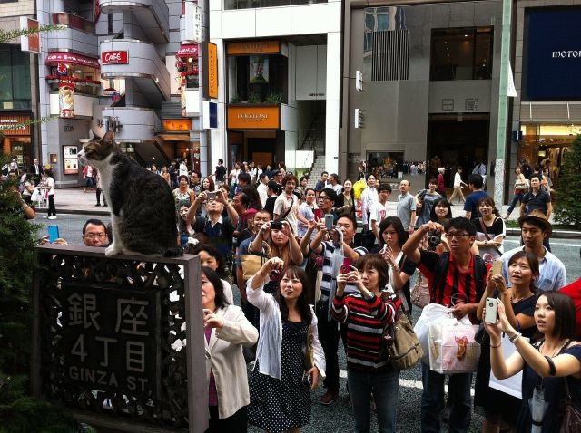 Bildschirmarbeiter - Picdump 23.05.2014