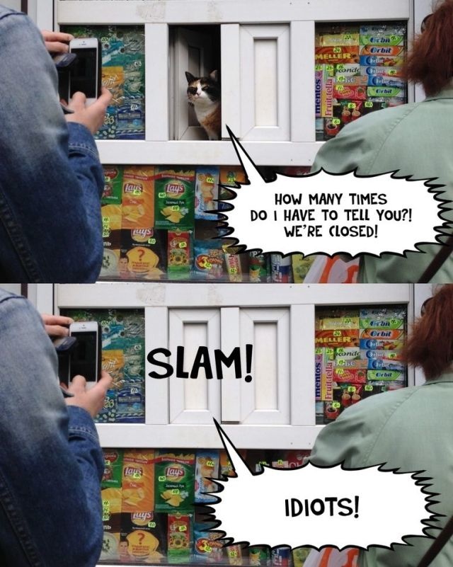 Bildschirmarbeiter - Picdump 23.05.2014