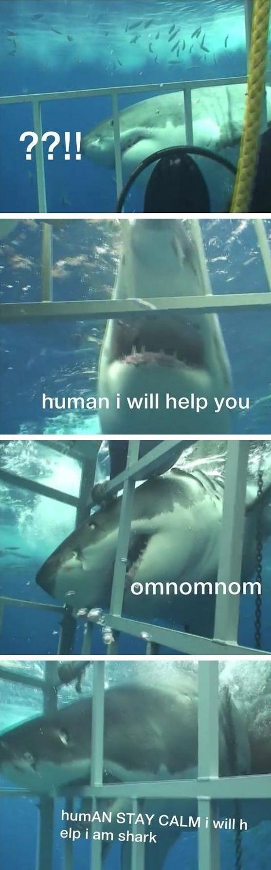 Bildschirmarbeiter - Picdump 23.05.2014