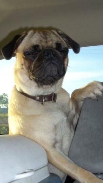 Bildschirmarbeiter - Picdump 06.06.2014