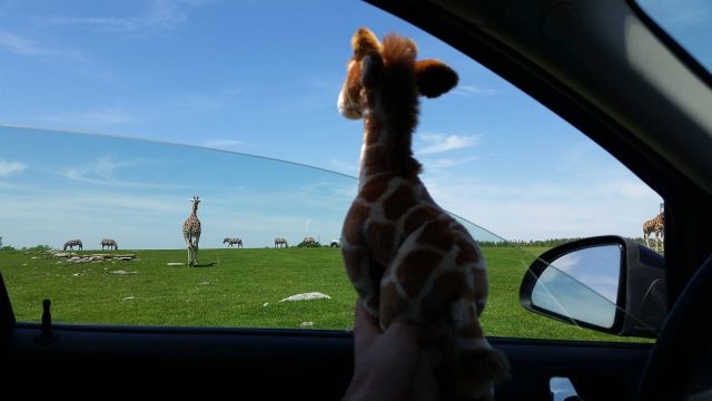 Bildschirmarbeiter - Picdump 06.06.2014