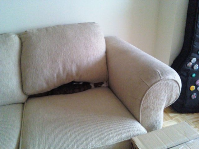 Bildschirmarbeiter - Picdump 06.06.2014