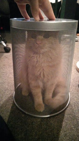 Bildschirmarbeiter - Picdump 06.06.2014