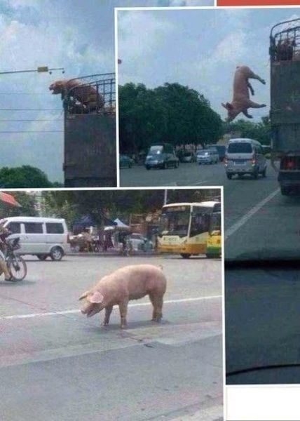 Bildschirmarbeiter - Picdump 06.06.2014