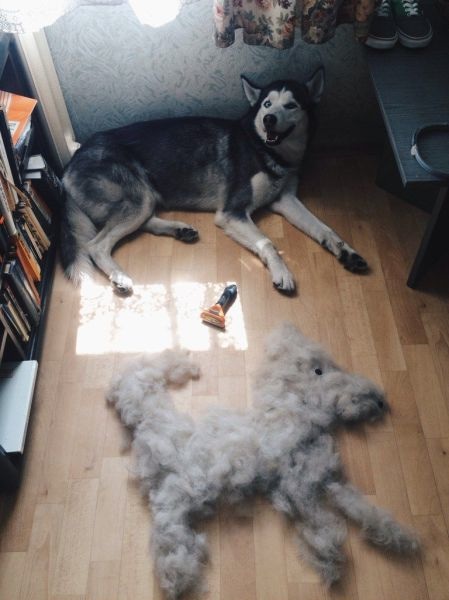 Bildschirmarbeiter - Picdump 06.06.2014