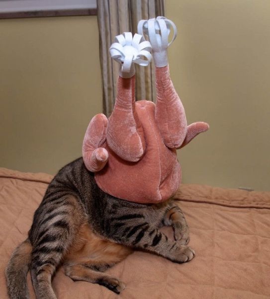 Bildschirmarbeiter - Picdump 06.06.2014