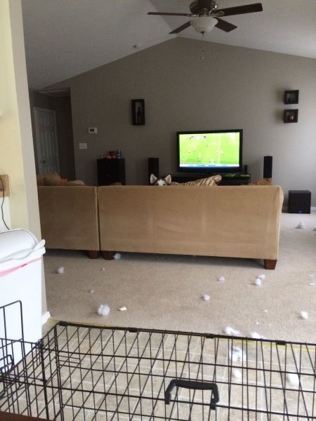 Bildschirmarbeiter - Picdump 06.06.2014