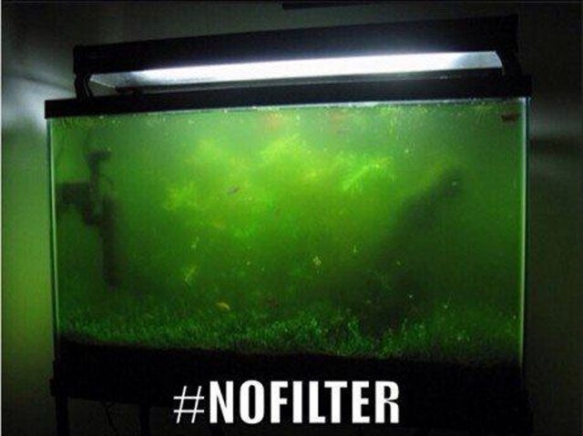 Bildschirmarbeiter - Picdump 06.06.2014