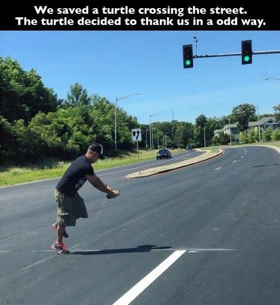 Bildschirmarbeiter - Picdump 06.06.2014