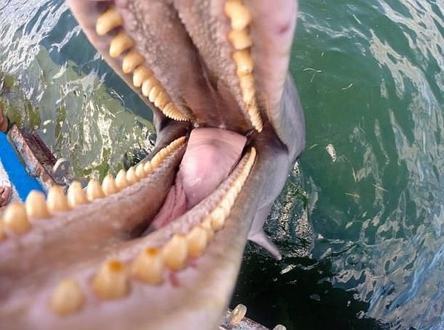 Bildschirmarbeiter - Picdump 06.06.2014